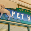 pet store